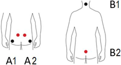 Self-Rated Recovery and Mood Before and After Resistance Training and Muscle Microcurrent Application